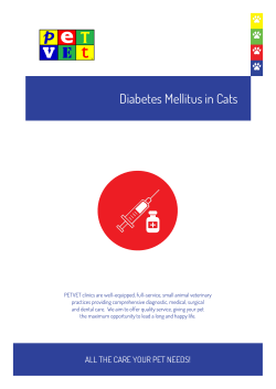 Diabetes Mellitus in Cats