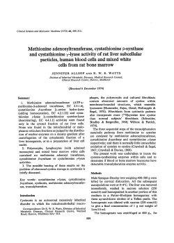 Methionine adenosyltransferase, cystathionine p