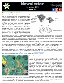 Newsletter