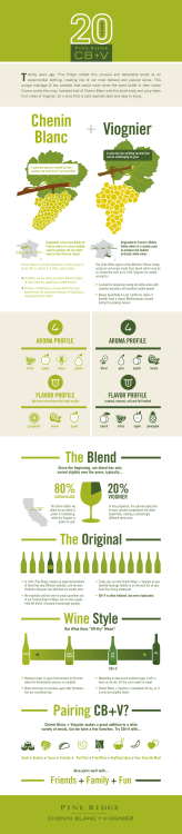 Infographic (vertical)