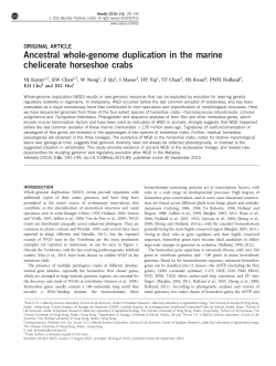 Ancestral whole-genome duplication in the marine