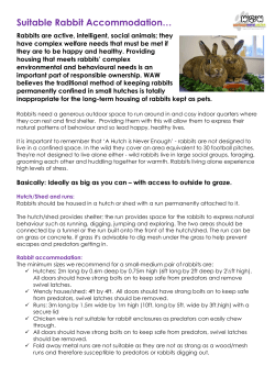 Suitable Rabbit Accommodation&hellip;