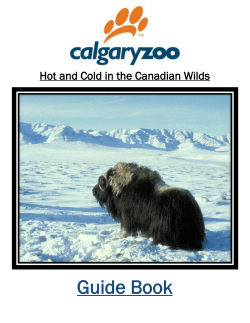 Guide Book - Calgary Zoo