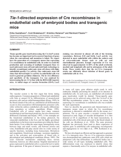 Tie-1-directed expression of Cre recombinase