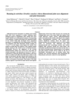 Running in ostriches (Struthio camelus): three