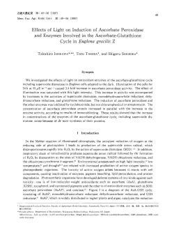 Effects of Light on Induction of Ascorbate Peroxidase and Enzymes