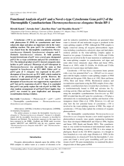 Functional Analysis of psbV and a Novel c