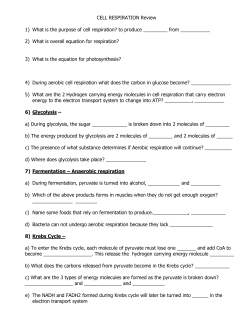 CELL RESPIRATION Review 1) What is the purpose of cell