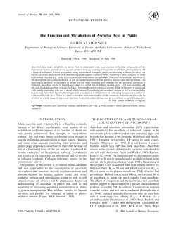 The Function and Metabolism of Ascorbic Acid in