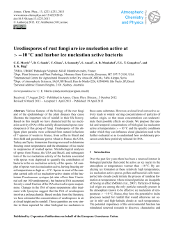 Urediospores of rust fungi are ice nucleation active at >&minus;10  C and