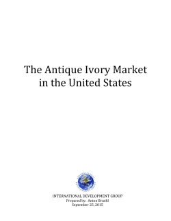The Antique Ivory Market in the United States