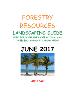 landscaping guide