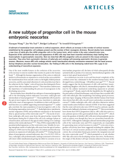 A new subtype of progenitor cell in the mouse embryonic neocortex