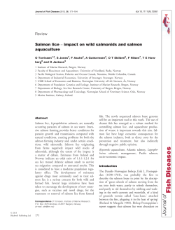 Salmon lice impact on wild salmonids and salmon
