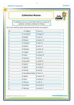 Collective Nouns