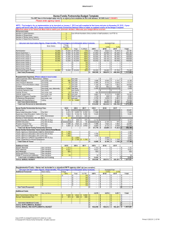 Nurse-Family Partnership Budget Template - PA