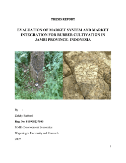 evaluation of market system and market integration for rubber