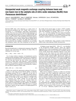 Unexpected weak magnetic exchange coupling between haem and