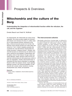 Mitochondria and the culture of the Borg