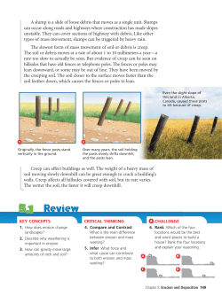 A slump is a slide of loose debris that moves as a single