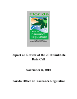 OIR Sinkhole Data Call Report - Office of Insurance Regulation