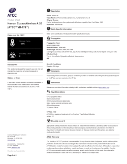 Human Coxsackievirus A 20 (ATCC&reg; VR178&trade;)