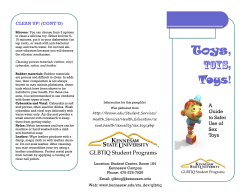 Toys, Toys, Toys!: A guide to safer use of sex toys