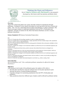 Thinking Like Plants and Pollinators