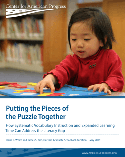 Putting the Pieces of the Puzzle Together