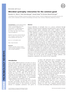 Microbial syntrophy: interaction for the common good