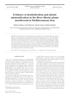 Evidence of denitrification and nitrate ammonification in the River