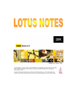 Lotus Notes Guidance 200410