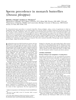 Sperm precedence in monarch butterflies