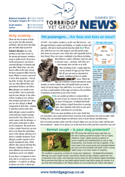 Pet passengers... Are fleas and ticks an issue? Kennel cough &ndash; is