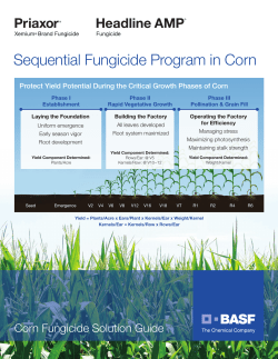 Sequential Fungicide Program in Corn