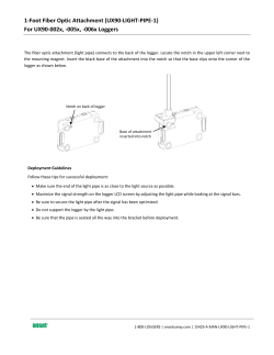 1-Foot Fiber Optic Attachment (UX90-LIGHT-PIPE-1)