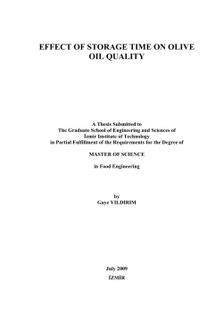 effect of storage time on olive oil quality - Library