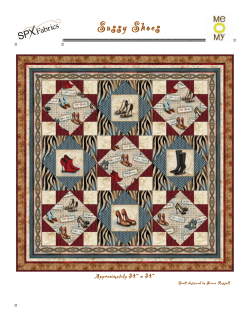 Sassy Shoes - eQuilter.com!