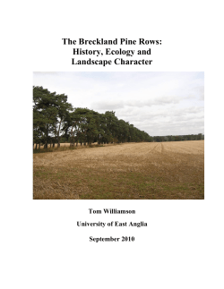 page 11 A History and Description of South Walsham, Norfolk