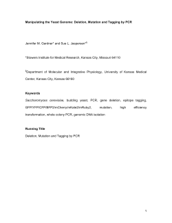 Manipulating the Yeast Genome- Deletion, Mutation and Tagging by