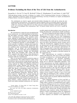 LETTER Evidence Excluding the Root of the Tree of Life from the