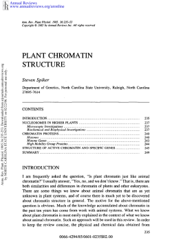 Plant Chromatin Structure
