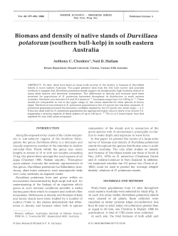 Full text in pdf format