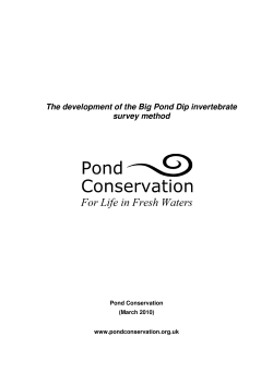 The development of the Big Pond Dip invertebrate survey method