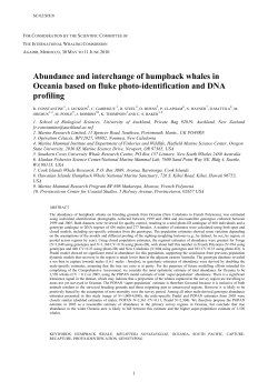 Abundance and interchange of humpback whales in Oceania based