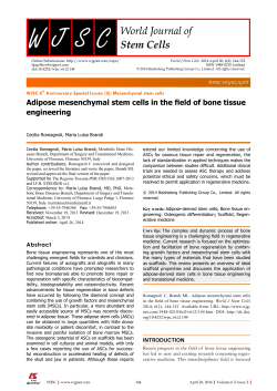 Adipose mesenchymal stem cells in the field of bone tissue