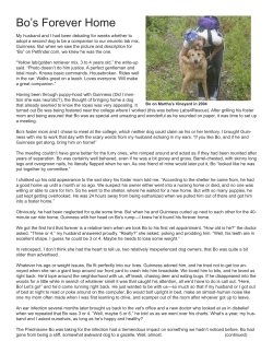 Bo`s Forever Home