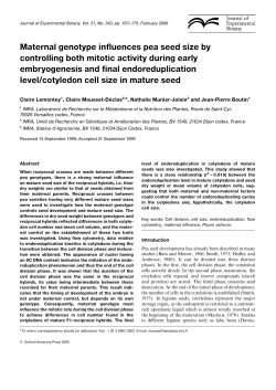 Maternal genotype influences pea seed size by controlling both