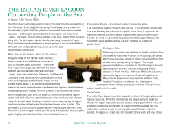 Indian River Lagoon
