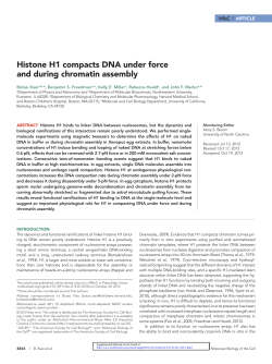 Histone H1 compacts DNA under force and during